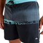 Quiksilver Men's Everyday Half Jam 16" Boardshort