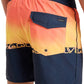 Quiksilver Men's Everyday Half Jam 16" Boardshort