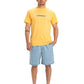 Quiksilver Men's Taxer Walkshort