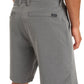 Quiksilver Mens Union Heather Amphibian 19" Boardshort