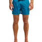 Quiksilver Men's Everyday 15" Volley
