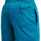 Quiksilver Men's Everyday 15" Volley