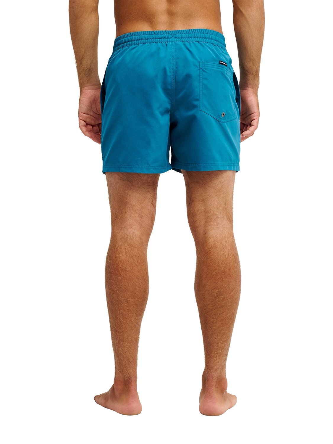 Quiksilver Men's Everyday 15" Volley