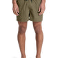 Quiksilver Men's Everyday 15" Volley