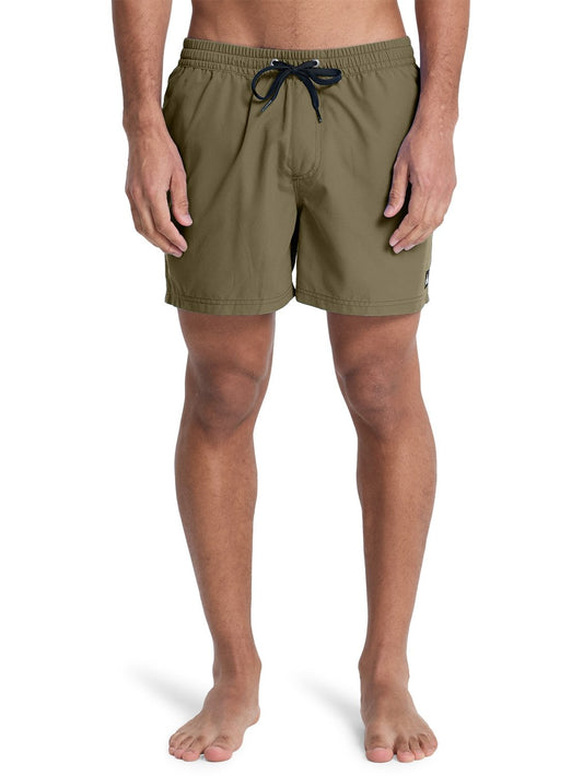Quiksilver Men's Everyday 15" Volley