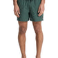 Quiksilver Men's Everyday 15" Volley
