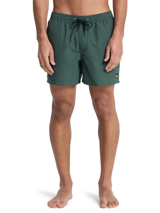Quiksilver Men's Everyday 15" Volley