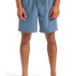 Quiksilver Men's Everyday Vert 17" Volley