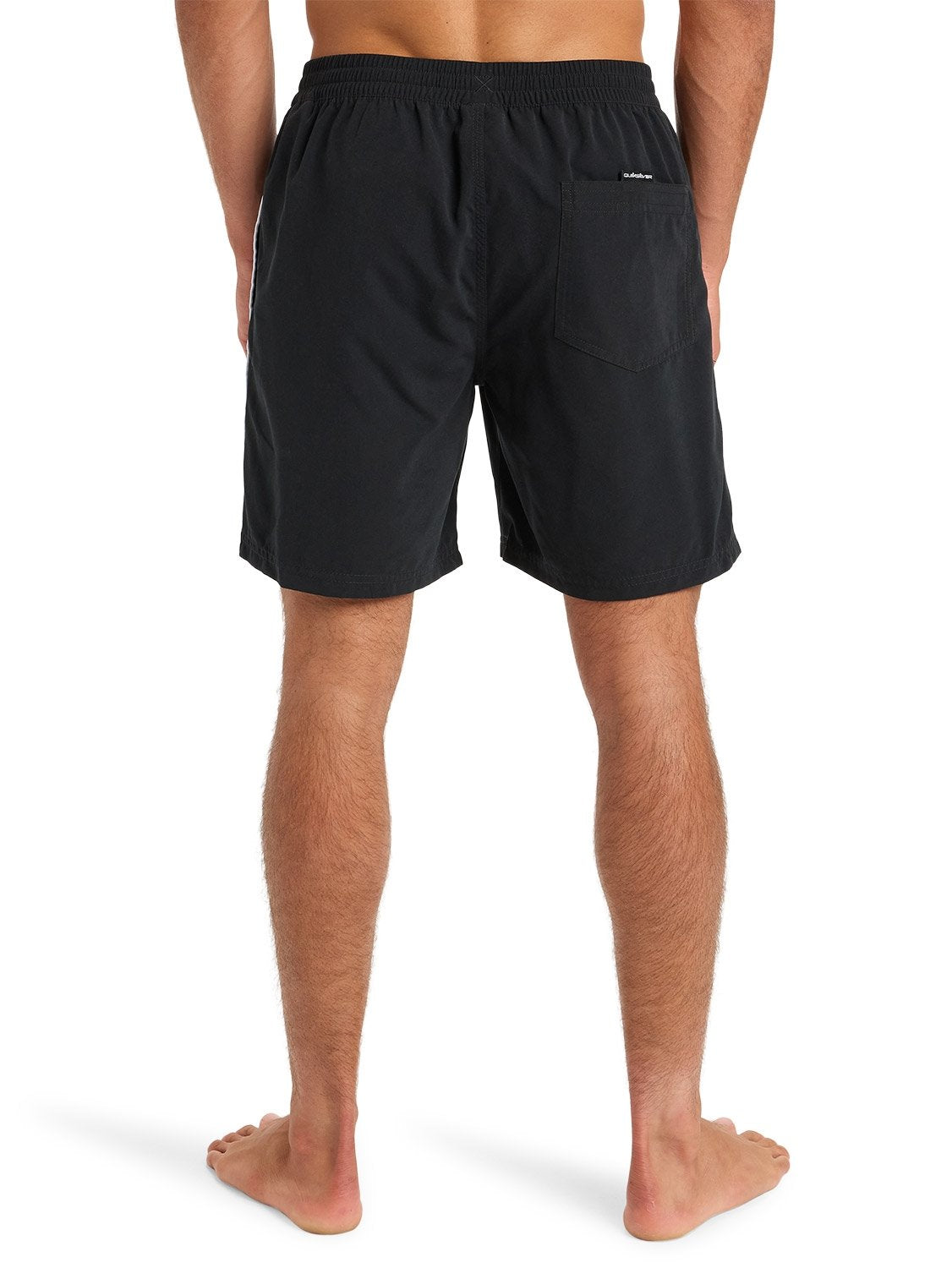 Quiksilver Men's Everyday Vert 17" Volley