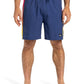 Quiksilver Men's Everyday Holmes 16" Volley