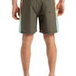 Quiksilver Men's Everyday Holmes 16" Volley