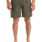 Quiksilver Men's Everyday Holmes 16" Volley
