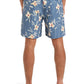 Quiksilver Men's Everyday Straight 17" Volley