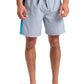 Quiksilver Men's Everyday Holmes 17" Volley