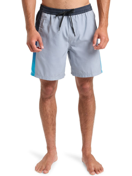 Quiksilver Men's Everyday Holmes 17" Volley