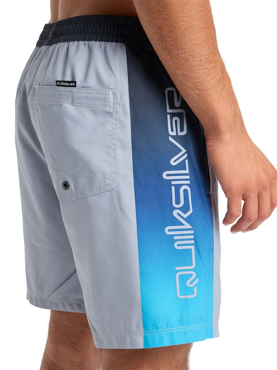 Quiksilver Men's Everyday Holmes 17" Volley