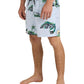 Quiksilver Men's Everyday Printed 17" Volley