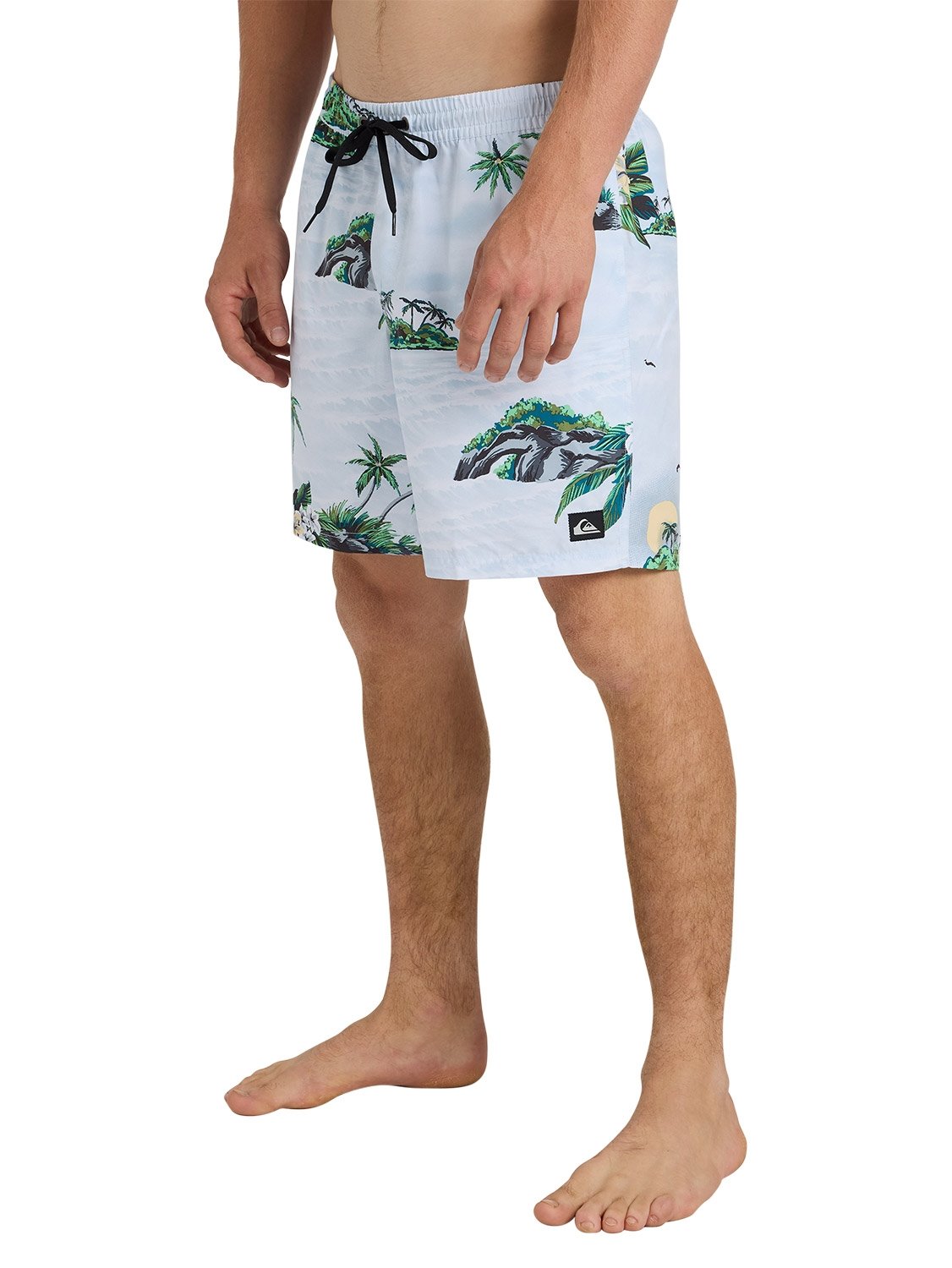 Quiksilver Men's Everyday Printed 17" Volley
