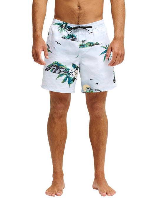 Quiksilver Men's Everyday Printed 17" Volley