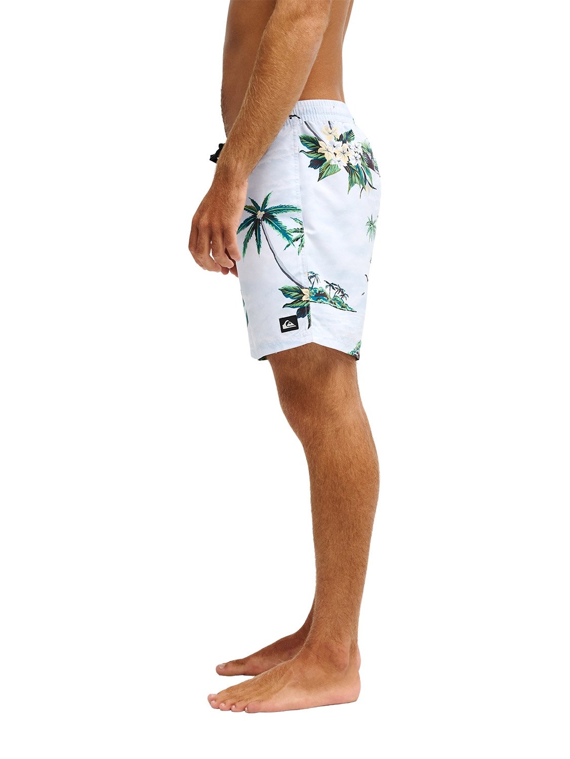 Quiksilver Men's Everyday Printed 17" Volley