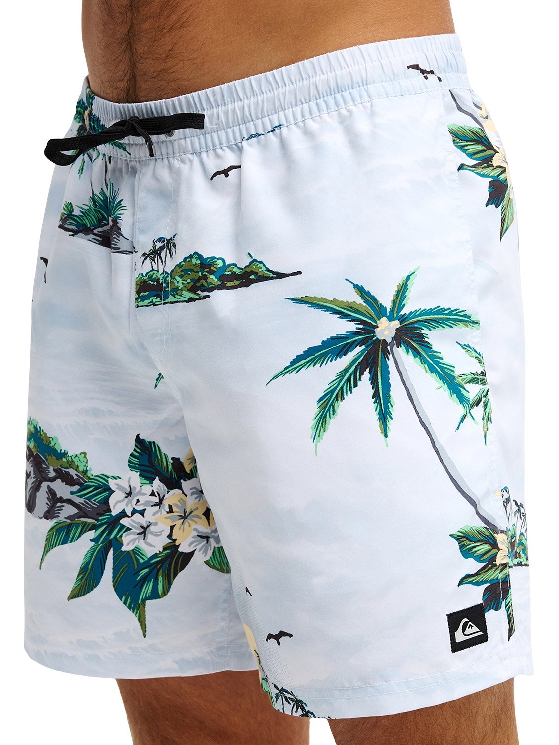 Quiksilver Men's Everyday Printed 17" Volley