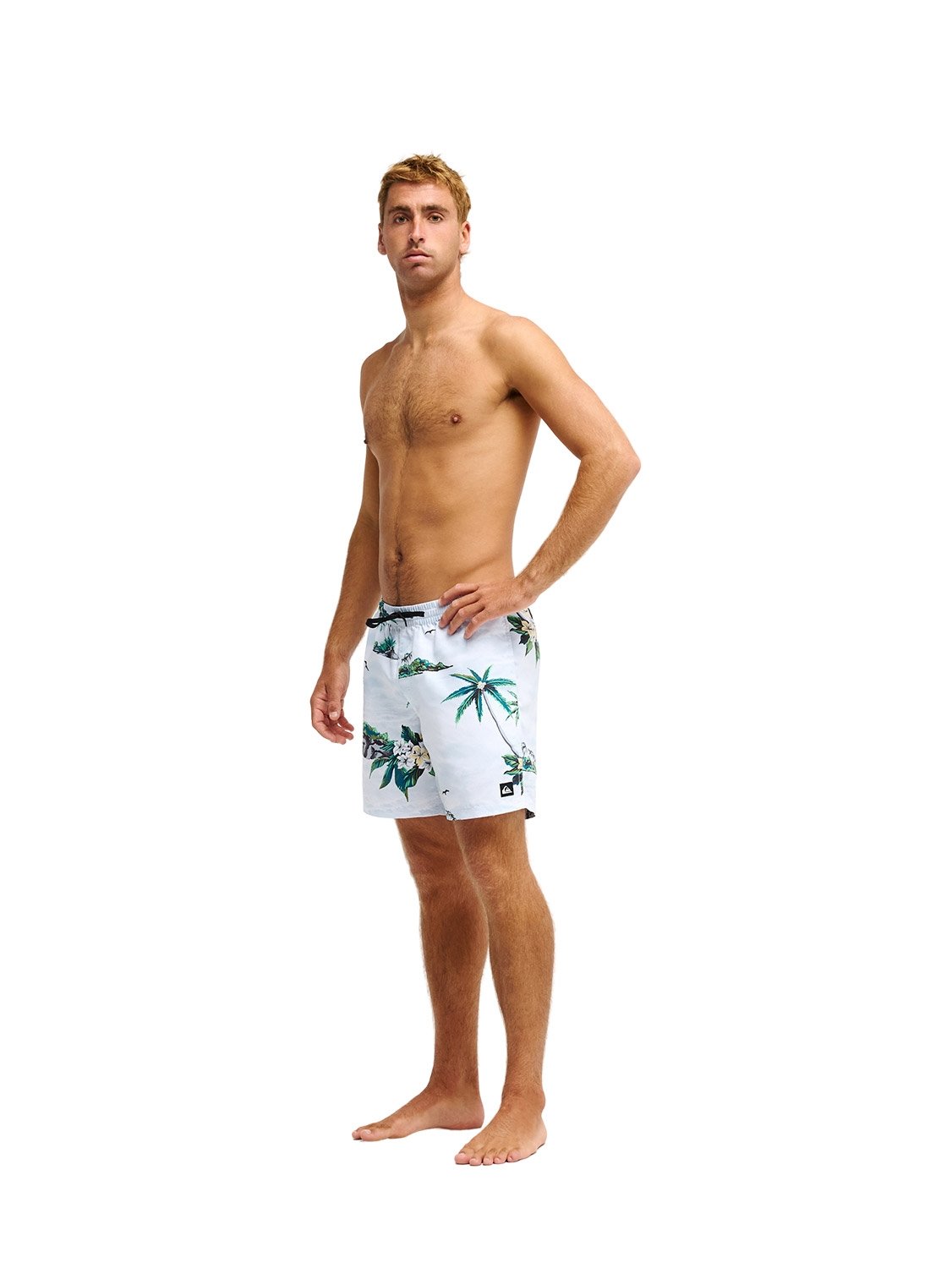 Quiksilver Men's Everyday Printed 17" Volley