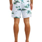 Quiksilver Men's Everyday Printed 17" Volley