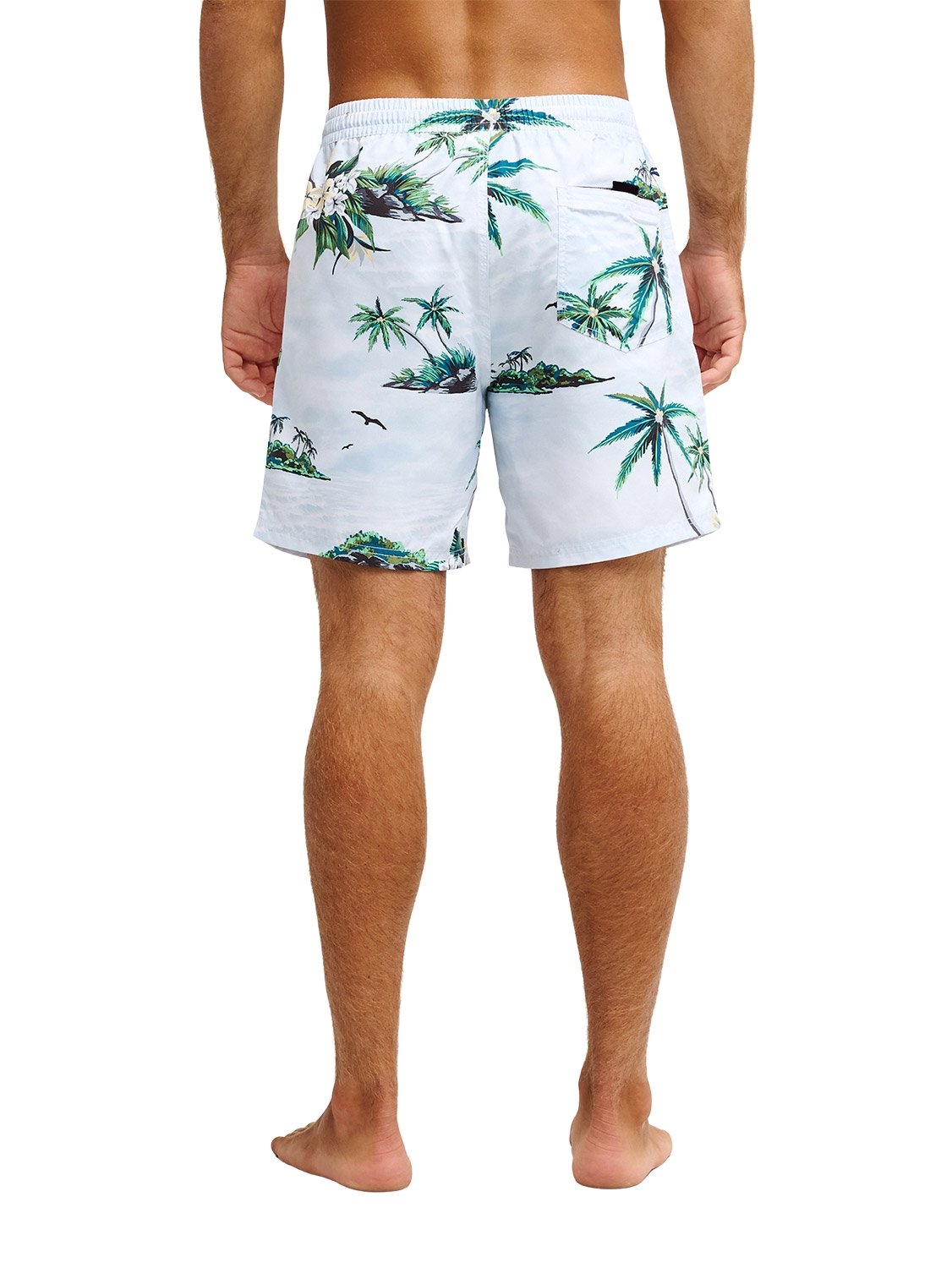 Quiksilver Men's Everyday Printed 17" Volley