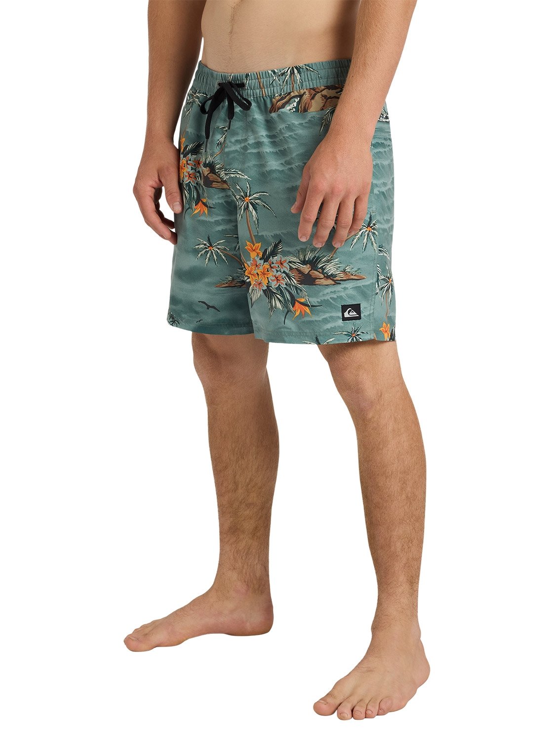 Quiksilver Men's Everyday Printed 17" Volley