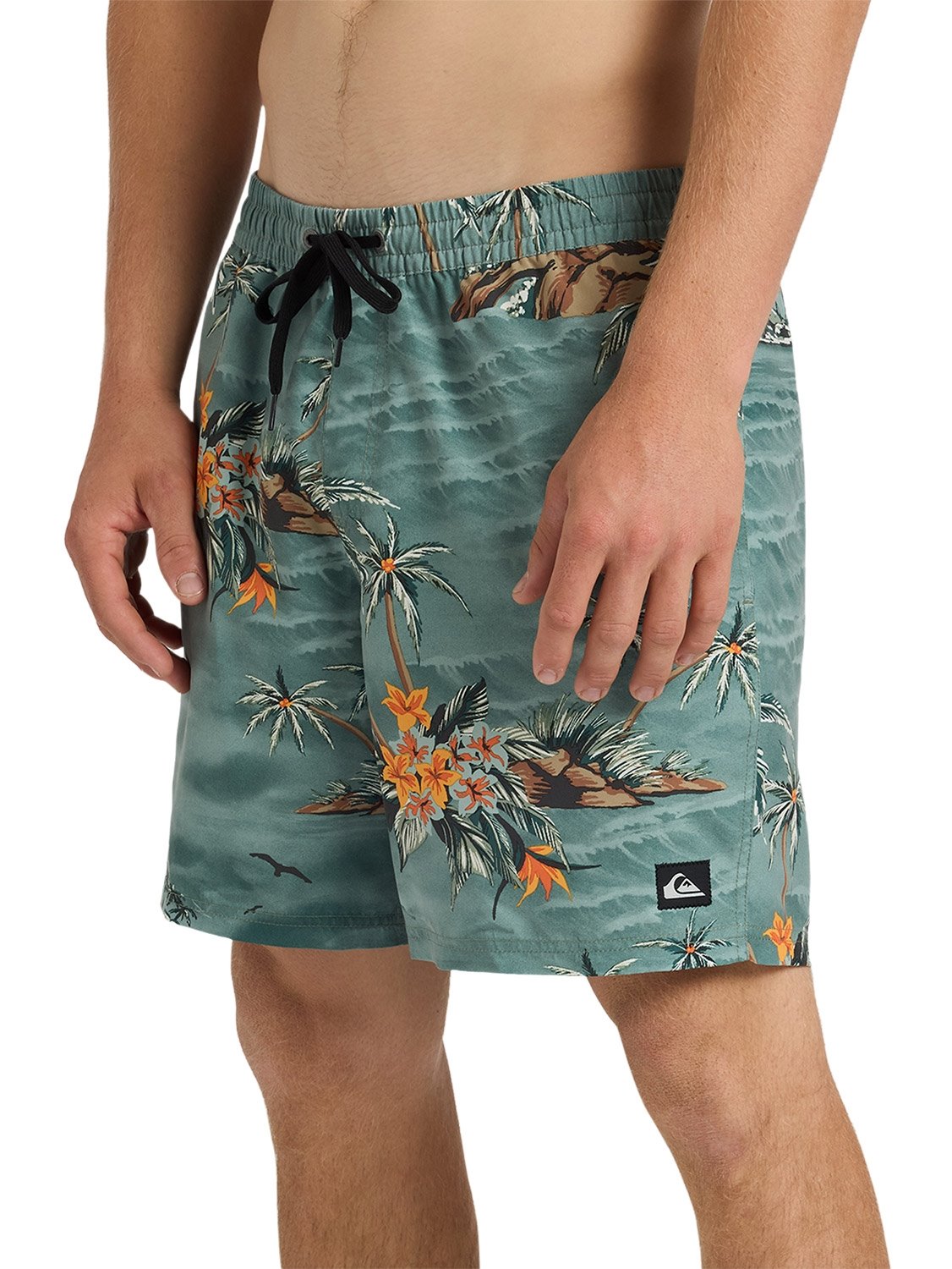 Quiksilver Men's Everyday Printed 17" Volley
