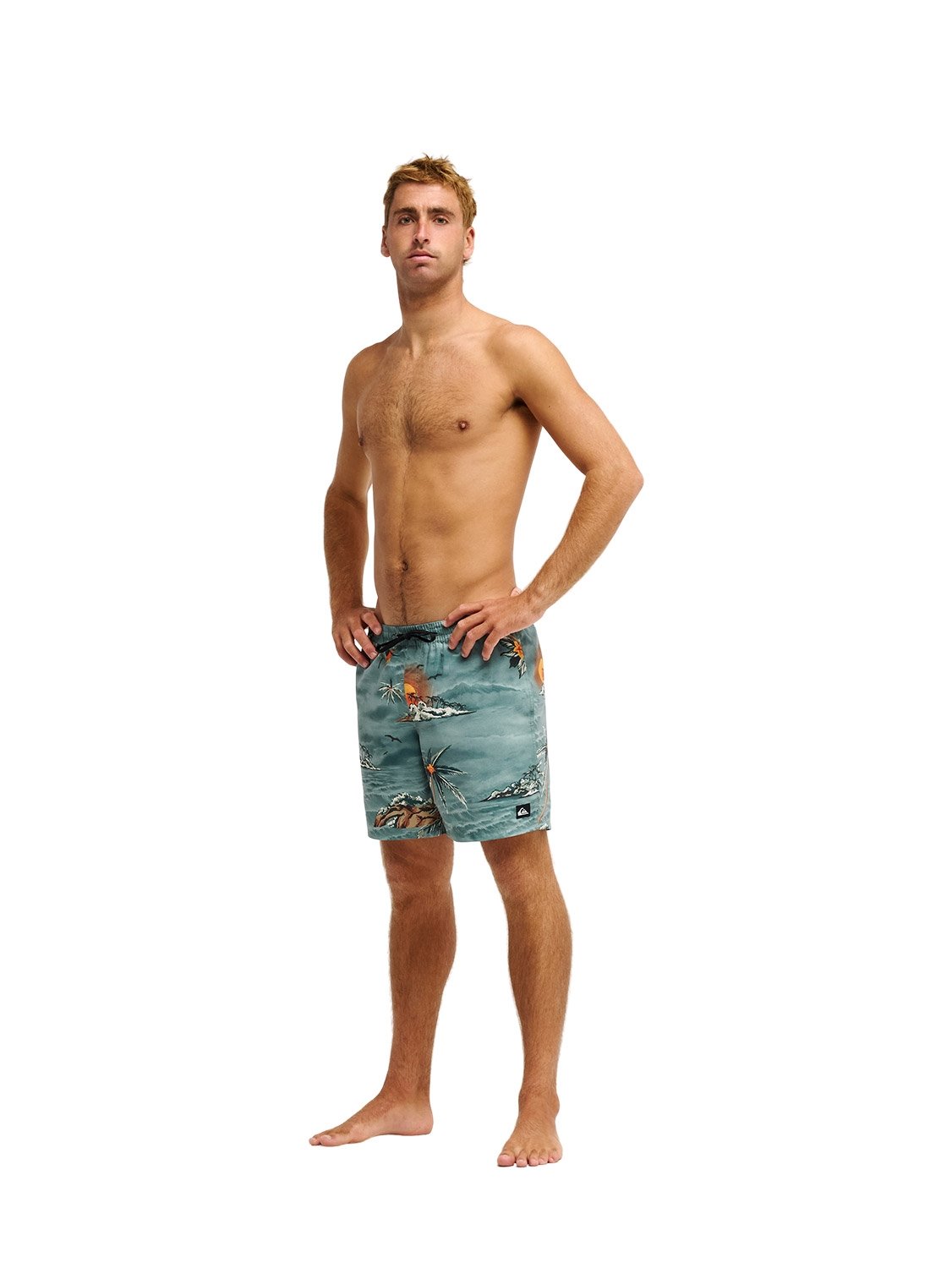 Quiksilver Men's Everyday Printed 17" Volley