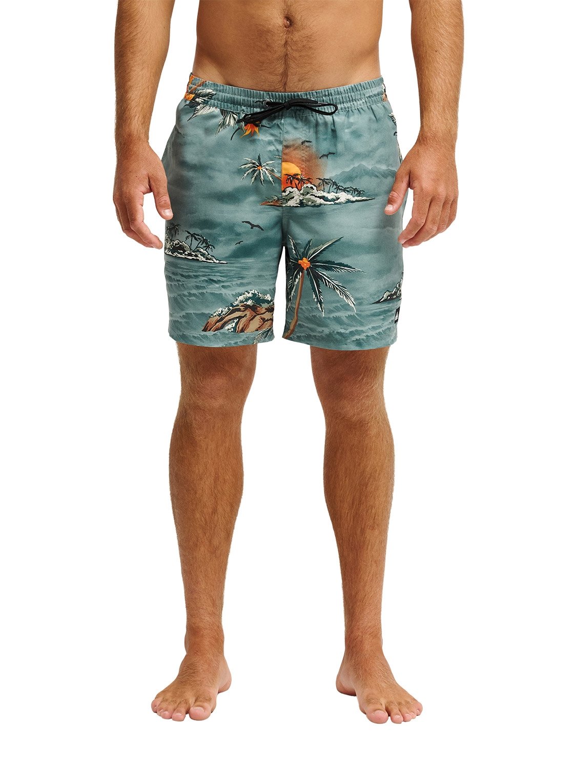 Quiksilver Men's Everyday Printed 17" Volley