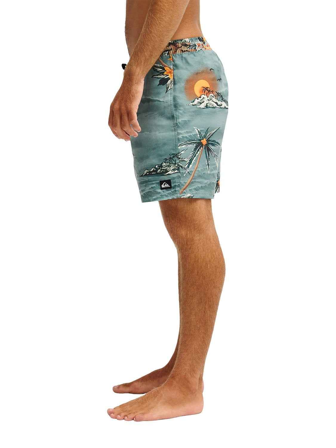 Quiksilver Men's Everyday Printed 17" Volley