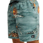 Quiksilver Men's Everyday Printed 17" Volley