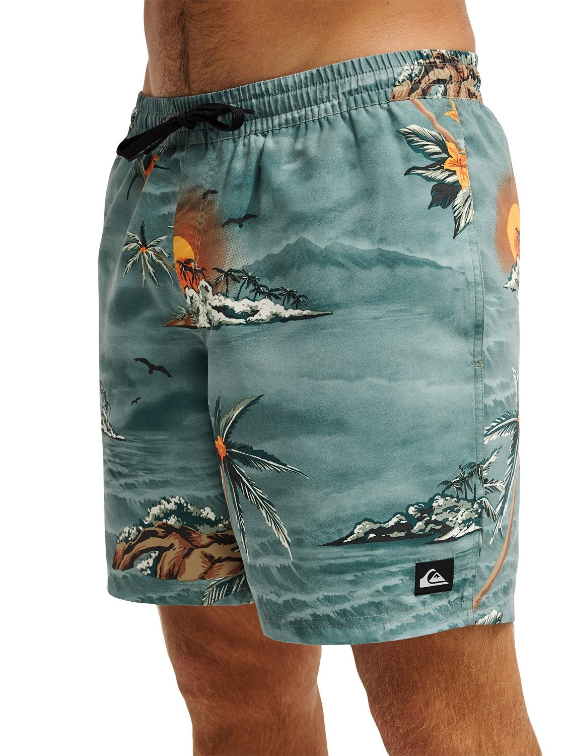 Quiksilver Men's Everyday Printed 17" Volley