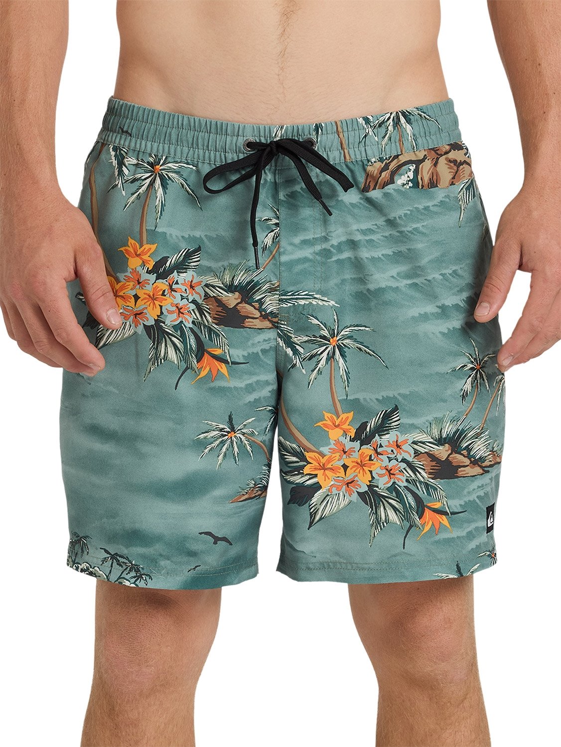 Quiksilver Men's Everyday Printed 17" Volley