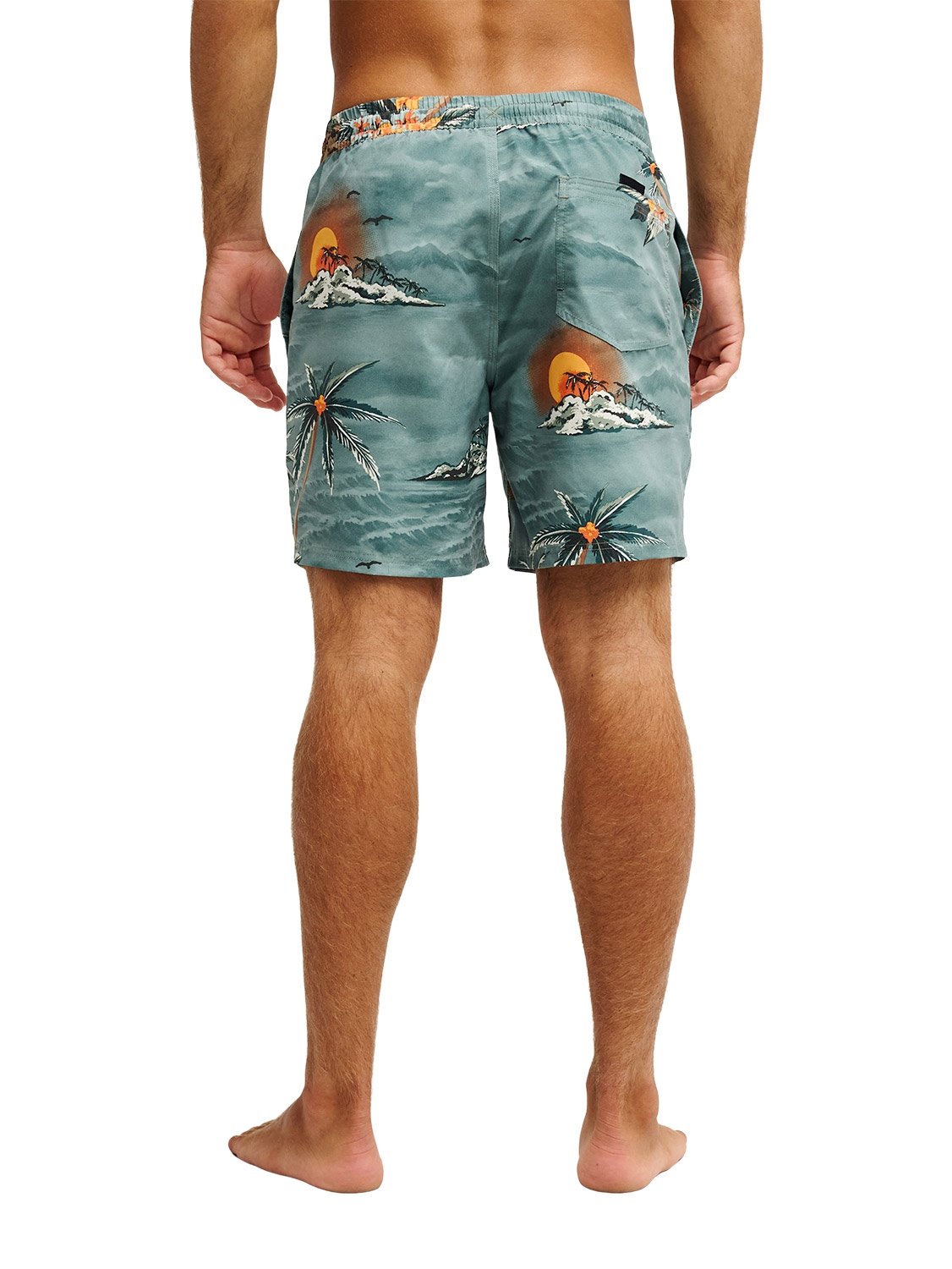 Quiksilver Men's Everyday Printed 17" Volley