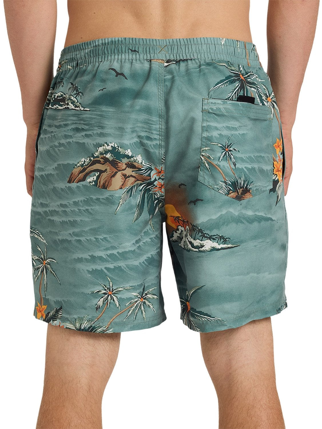 Quiksilver Men's Everyday Printed 17" Volley