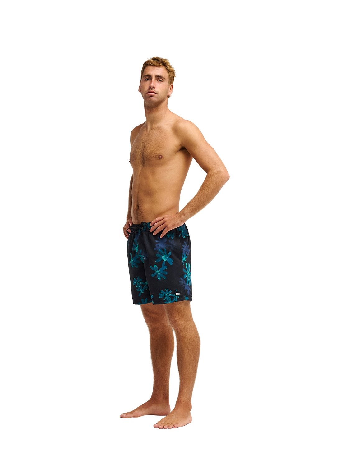 Quiksilver Men's Everyday Printed 17" Volley