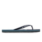 Quiksilver Men's Molokai Stripe Flip Flop