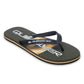 Quiksilver Men's Molokai Stripe Flip Flop