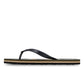 Quiksilver Men's Molokai Stripe Flip Flop