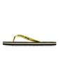Quiksilver Men's Molokai Stripe Flip Flop