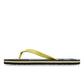 Quiksilver Men's Molokai Stripe Flip Flop