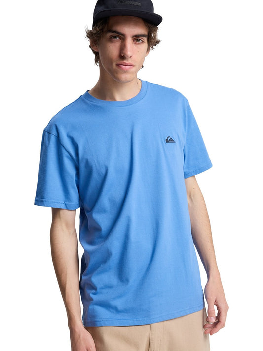 Quiksilver Men's Basic Young Men T-Shirt