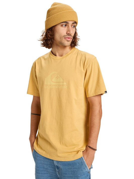 Quiksilver Mens Corp Logo T-Shirt