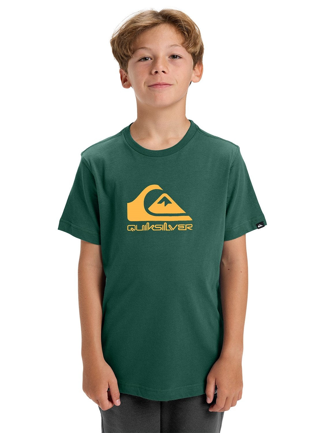 Quiksilver Boys Corp Logo T-Shirt