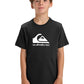Quiksilver Boys Corp Logo T-Shirt