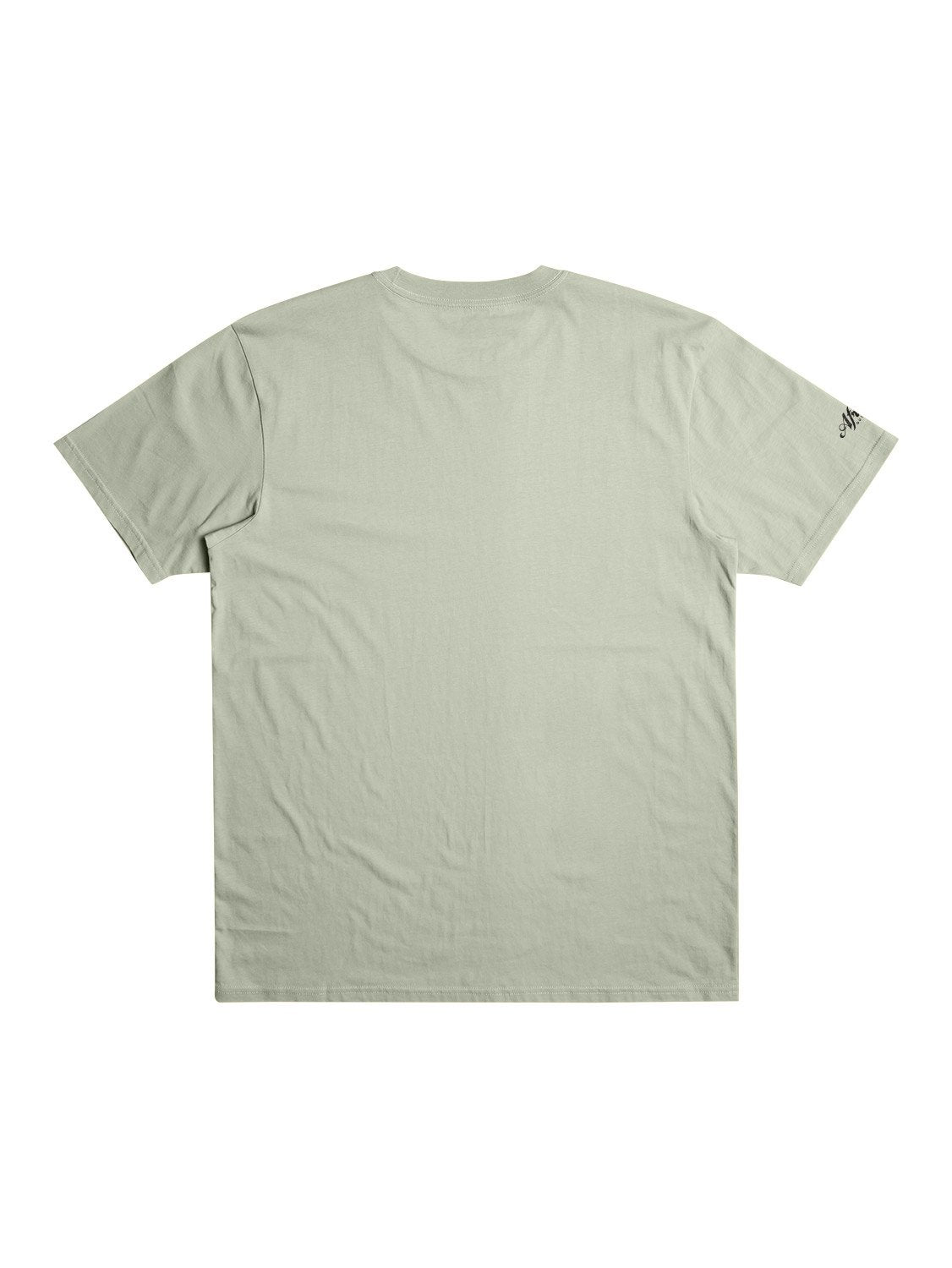 Quiksilver Men's Africa Round About T-Shirt