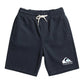 Quiksilver Boys Easyday Track Shorts